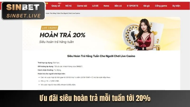 Hoàn trả cược thể thao tydo88 chính thức